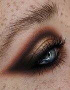 Catrice Epic Earth палитра сенки за очи 9.5 гр.