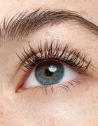 Catrice Faked изкуствени мигли с лепило Natural Cluster 20 бр.