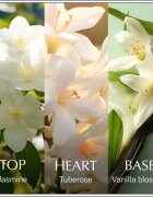 Chanson d'Eau Original Jasmine тоалетна вода за жени 100 мл.