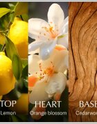 Chanson d'Eau Original Lemon тоалетна вода за жени 100 мл.