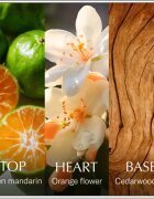 Chanson d'Eau Original Neroli тоалетна вода за жени 100 мл.
