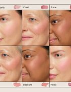 Chantecaille Cheek Shades руж Coral Laughter 2.5 гр.