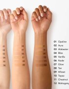 Chantecaille Just Skin Tinted Moisturizer тониращ и хидратиращ крем-гел с озаряващ ефект SPF 15 Mahogany 35 гр.