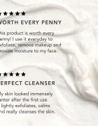 Chantecaille Rice and Geranium Foaming Cleanser нежна почистваща емулсия с хидратиращ ефект 70 гр.