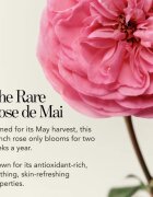 Chantecaille Rose de Mai Lip Balm хидратиращ балсам за устни 2.5 гр.