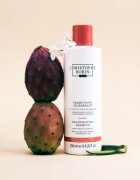 Christophe Robin Regenerating Shampoo with Prickly Pear Oil дълбоко регенериращ шампоан за увредена и химически третирана коса 250 мл.