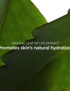 Clarins Fresh Scrub Refreshing Cream Scrub крем-пилинг за подхранване на кожата на лицето и поддържане на естествената хидратация 50 мл.