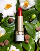 Clarins Joli Rouge Shine блестящо червило с хидратиращ ефект цвят 742S 3.5 гр.
