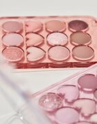 Colorgram Pin Point Eyeshadow Palette палитра сенки за очи за перфектен външен вид цвят 01 Peach+Coral 9.9 гр.