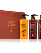 DAENG GI MEO RI Honey Therapy Professional Hair Care Set подаръчен комплект за подхранване и хидратация