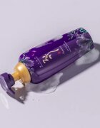 DAENG GI MEO RI Jin Gi Premium Vitalizing Shampoo възстановяващ шампоан за силно увредена и тънка коса стимулиращ растежа на косата 500 мл.