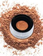 Danessa Myricks Beauty Evolution Powder насипна пудра цвят 4 - Translucent Chestnut 11 гр.