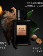 David Beckham Bold Instinct парфюмна вода за мъже 50 мл.