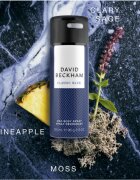 David Beckham Classic Blue дезодорант в спрей за мъже 150 мл.