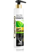 Delia Cosmetics Cameleo BB кератинов шампоан за увредена коса 250 мл.