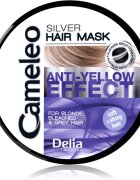 Delia Cosmetics Cameleo Silver маска за коса неутрализиращ жълтеникавите оттенъци 200 мл.