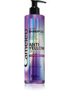 Delia Cosmetics Cameleo Silver шампоан неутрализиращ жълтеникавите оттенъци 250 мл.