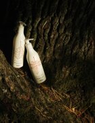 Delia Cosmetics Forest Blend регенериращ лосион за тяло 300 мл.