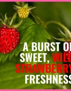 Dermacol Aroma Moment Wild Strawberries пяна за вана малка опаковка 2x15 мл.