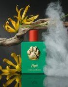 Dolce&Gabbana Fefé fragrance mist for dogs парфюмна мъгла унисекс 100 мл.