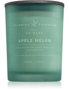 DW Home Charming Farmhouse Apple Melon ароматна свещ 414 гр.