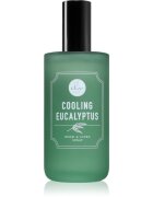 DW Home Cooling Eucalyptus cпрей за дома 120 мл.