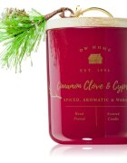DW Home Farmhouse Cinnamon Clove & Cypress ароматна свещ 244 гр.