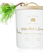 DW Home Farmhouse Winter Mint & Spruce ароматна свещ 244 гр.