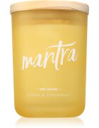 DW Home Zen Mantra ароматна свещ 213 гр.