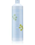 Echosline Balance Shampoo почистващ шампоан против пърхот 1000 мл.