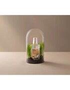 Ecodenta Cosmos Organic Minty Coconut вода за уста вкус Coconut Aloe Vera Pepermint 500 мл.