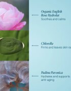 Elemis Pro-Collagen Rose Marine Cream хидратиращ гел-крем за стягане на кожата 30 мл.