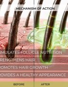 Elfa Pharm Intensive Cosmetic Complex Of 7 Oils 7in1 Stimulating Serum регенериращ серум против косопад 100 мл.