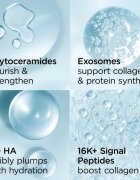 Elizabeth Arden Hyaluronic Acid + Peptides Ceramide хидратиращ крем за лице s ceramidy a peptidy 50 мл.