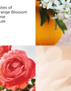Elizabeth Arden Sunflowers тоалетна вода за жени 100 мл.