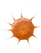 Essence Drop of Sunshine течен бронзант 25 мл.