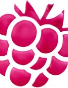 Essence WHAT A TINT! мултифункционален грим за устни и скули цвят 10 Raspberry Vibes 5 гр.