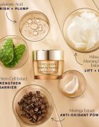 Estée Lauder Revitalizing Supreme+ Youth Power Creme дневен стягащ лифтинг крем за освежаване и изглаждане на кожата 75 мл.