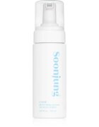 ETUDE SoonJung pH 6.5 Whip Cleanser нежна почистваща пяна за чувствителна и раздразнена кожа 150 мл.