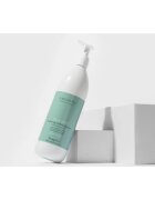 FarmaVita Amethyste Advance Divalent успокояващ шампоан за сухи краища на косата 1000 мл.