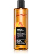 Farmona Jantar Amber Essence шампоан за увредена коса 300 мл.