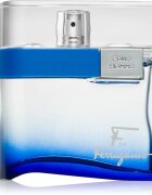 Ferragamo F by Free Time тоалетна вода за мъже 100 мл.