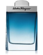 Ferragamo Subtil Pour Homme тоалетна вода за мъже 100 мл.