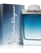Ferragamo Subtil Pour Homme тоалетна вода за мъже 100 мл.