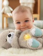 Fisher-Price Soothe & Settle Otter плюшена играчка с мелодия 1 бр.