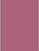 flormar Lightweight Lip Powder Lipstick дълготрайно червило с матиращ ефект цвят 008 Lucky Me 3 гр.