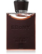 Fragrance World Ebony Scent Intense парфюмна вода за мъже 100 мл.