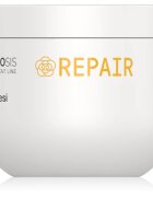 Framesi Morphosis Repair регенерираща маска за коса за увредена коса 250 мл.