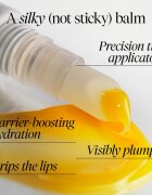 fresh Sugar Melt Lip Cream тониращ балсам за устни цвят Mango Pulp 12 гр.