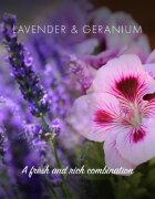 Friendly Soap Natural Shampoo Bar Lavender & Geranium натурален сапун За коса 7x95 гр.